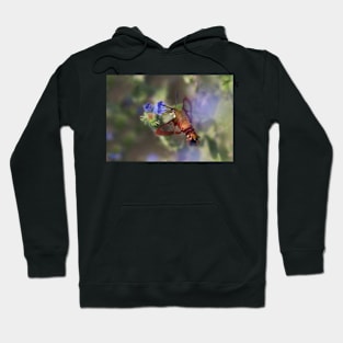 Hummingbird Clearwing Moth Hoodie